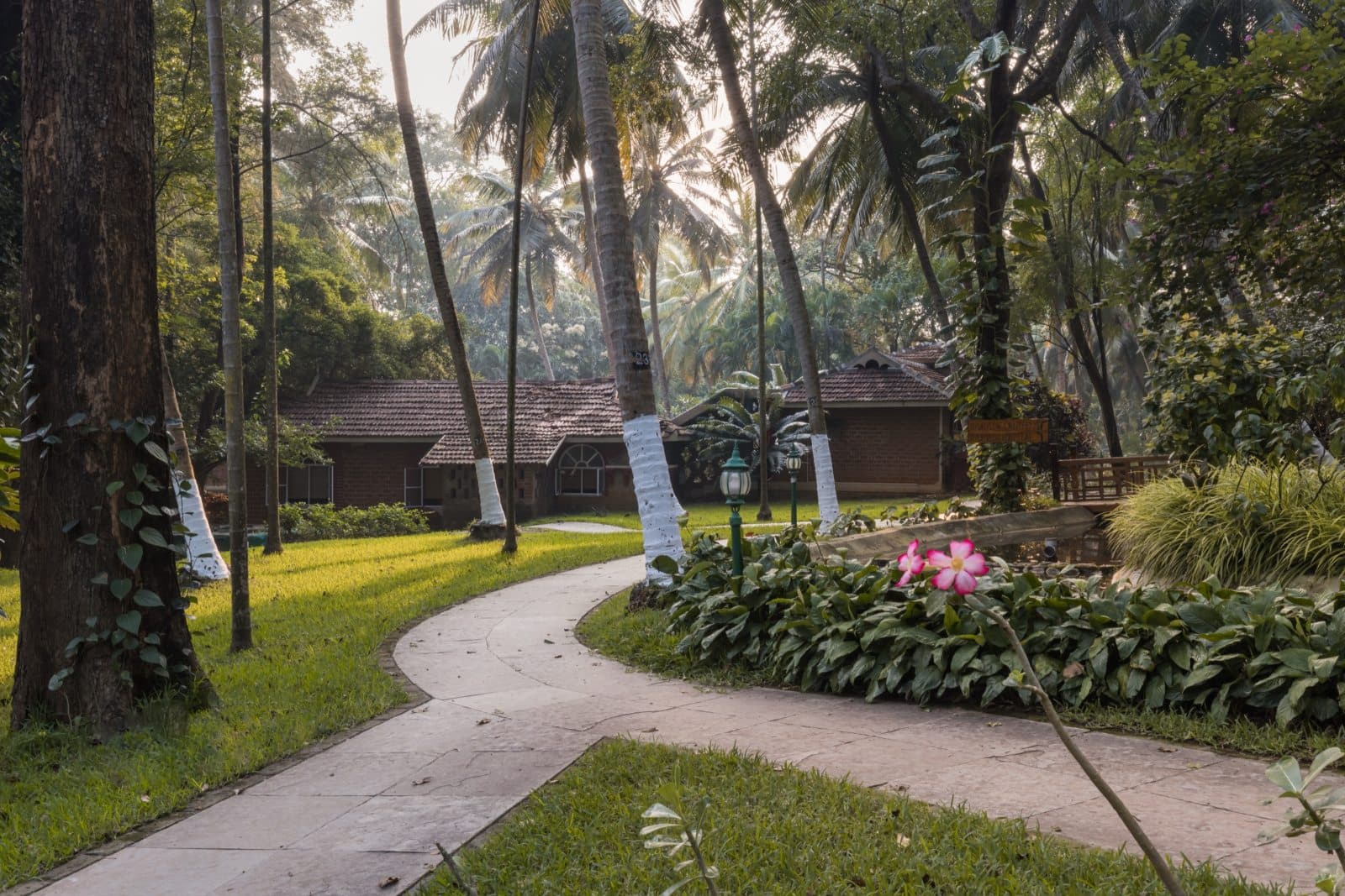 Treatment gardens between the Healing Village's buildings, Palakkad