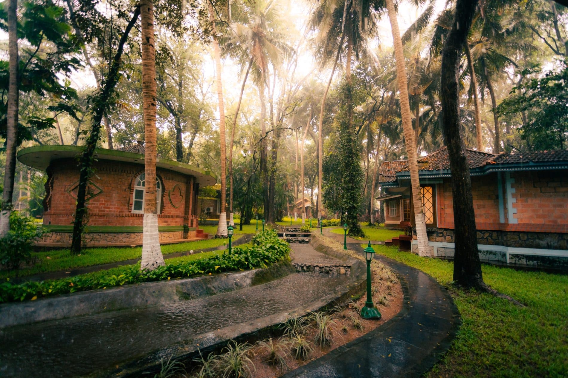 Morning mist over the cottages and garden paths at the Healing Village