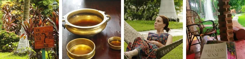 Workshop di Ayurveda di un giorno — formazione presso Kairali – The Ayurvedic Healing Village
