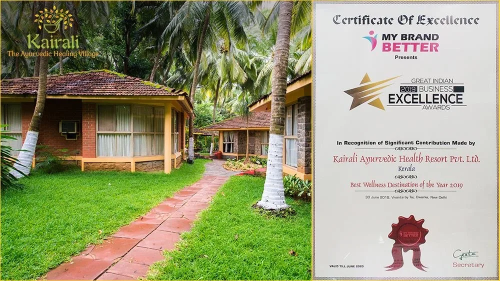 Best Wellness Destination of the Year 2019 证书图示。