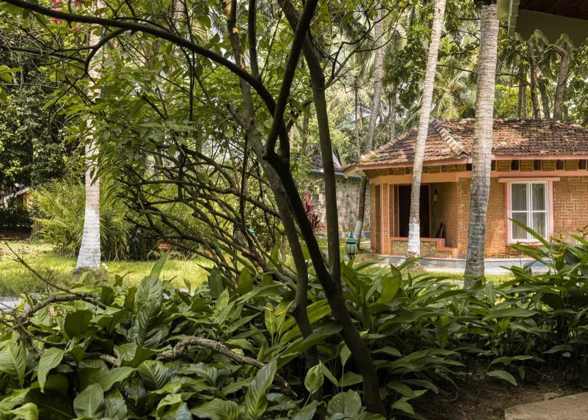Classic Villa сквозь листву сада