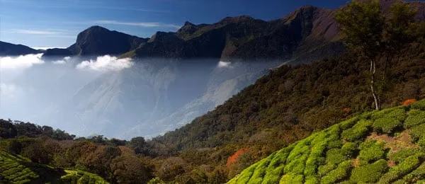 Green hills and a valley.