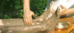 Un terapista stende una pasta di erbe marrone sulla gamba di un paziente accanto a un recipiente di ottone