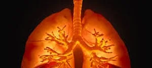 Illustrazione luminosa dei polmoni umani e delle ramificazioni delle vie bronchiali su sfondo scuro