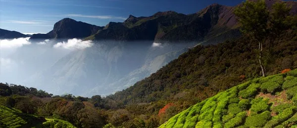 Vale montanhoso coberto de nuvens nos Gates Ocidentais, com encostas de plantações de chá em primeiro plano