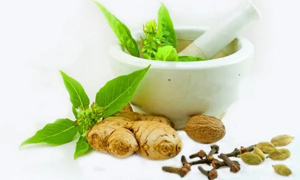 العروض الخاصة