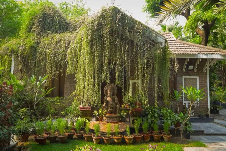 Vine-covered brick buildings and gardens at Kairali in Palakkad