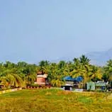 नारियल के पेड़ों के बीच विलेज की इमारतें