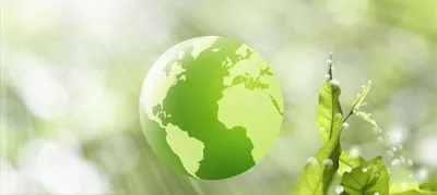Geïllustreerde groene wereldbol met continenten, tegen een achtergrond van zonovergoten groene bladeren