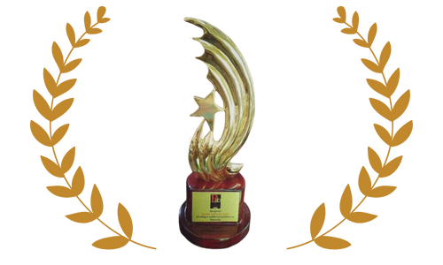 Excellence Award