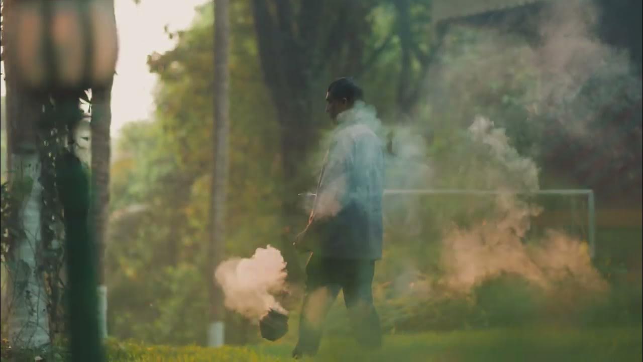 Nature around the village — video preview