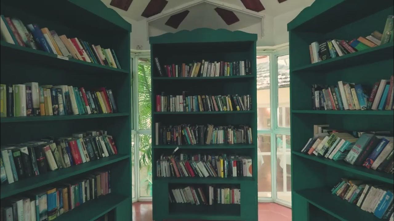 Places to spend your day — video preview