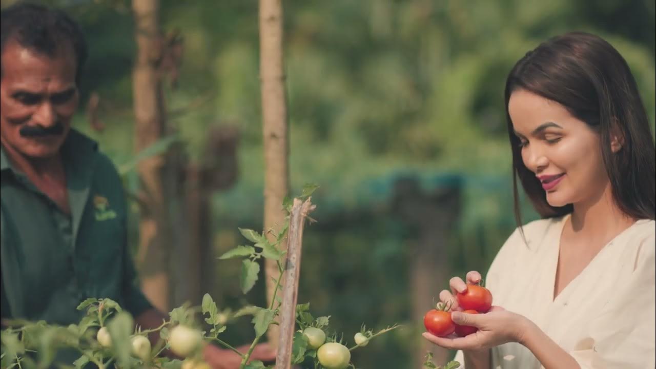 A walk through the grounds — video preview