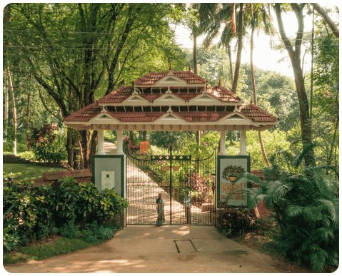 Ayurvedic Treatment at Kairali