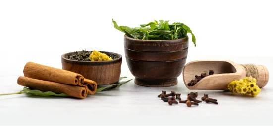 Ayurvedic Doctor Consultation