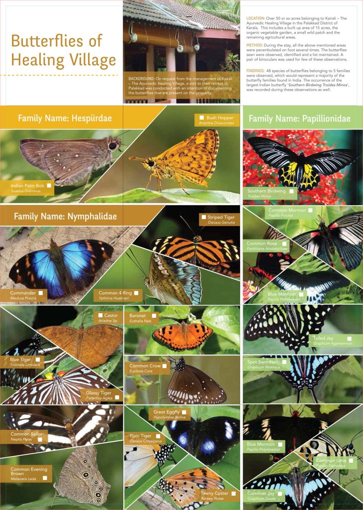 butterfly booklet