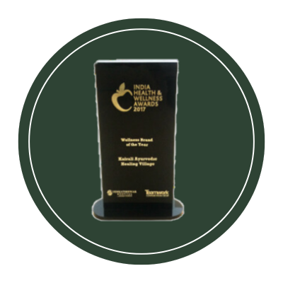 Wellness Brand of the year 2017