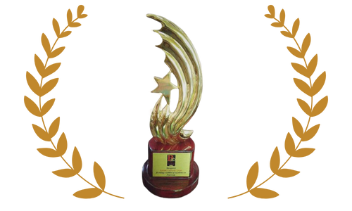 Excellence Award