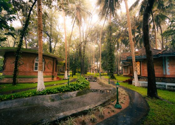 Traditional Ayurvedic treatments