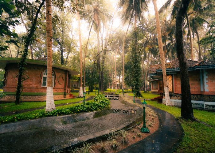 Traditional Ayurvedic treatments